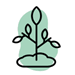 icon of seedling